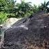 Potencian exportación de carbón vegetal en Mayabeque
