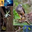 Conservación de la biodiversidad en Mayabeque,  desafíos, raíces para la vida.